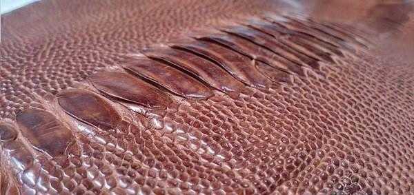 Real Ostrich leg leather