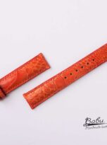 ostrich watch band 1