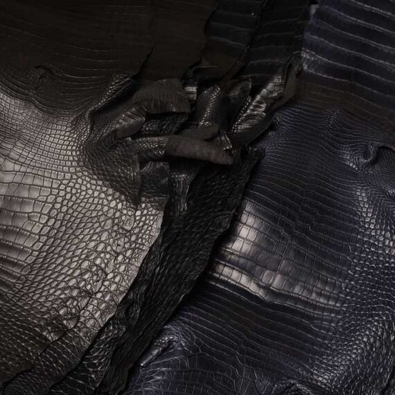 Alligator leather