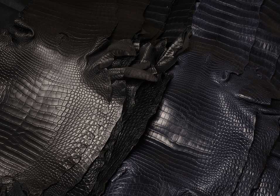 Alligator leather
