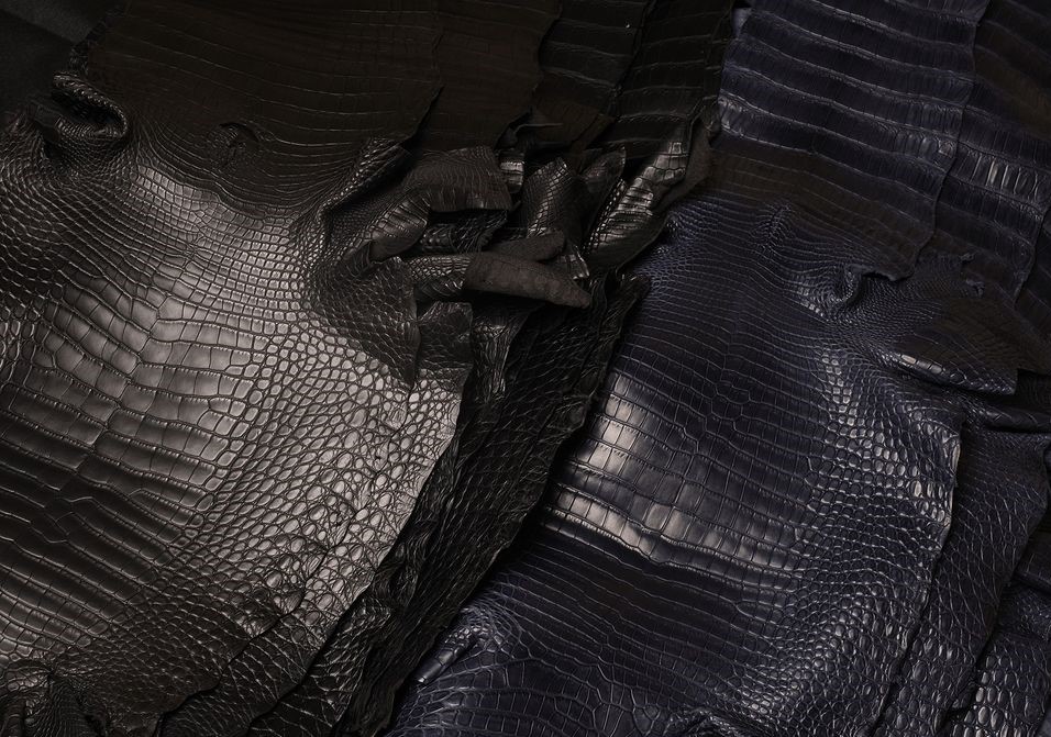 Premium Quality Alligator leather