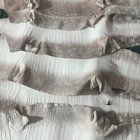 Himalaya Alligator Leather: The Pinnacle of Luxury and Craftsmanship