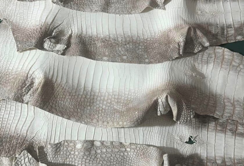 Himalaya Alligator Leather: The Pinnacle of Luxury and Craftsmanship
